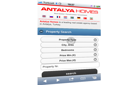 Mobile Website en ligne